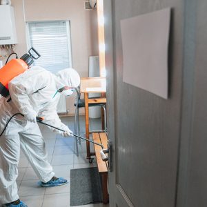 Serviços de Desinfecção de Combate ao COVID-19